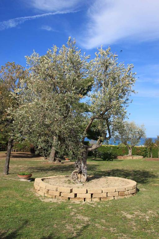 San Costanzo Villa Dolcevita المظهر الخارجي الصورة